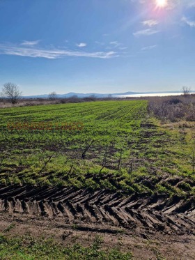 ������� ������ | Imot.bg � ����� ������ 5