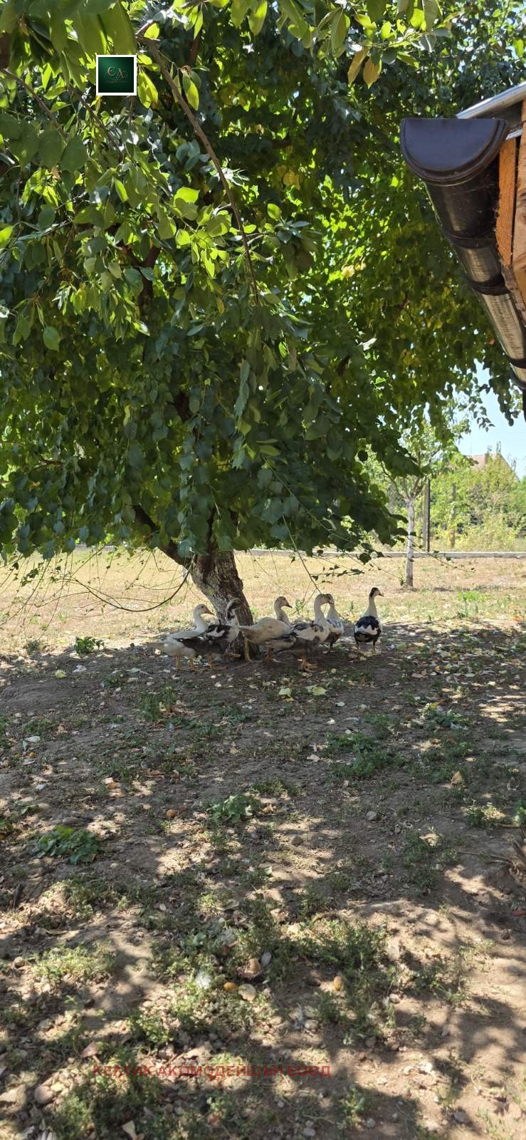 Продава КЪЩА, гр. Криводол, област Враца, снимка 3 - Къщи - 55532466