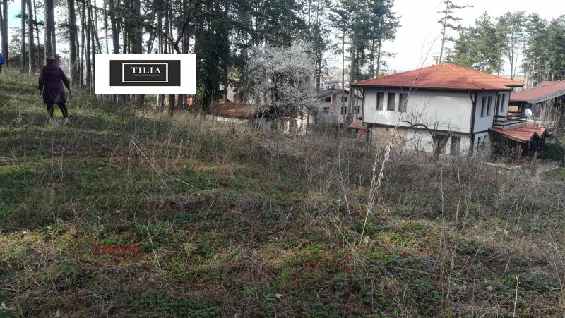 Satılık  Komplo Sofia , Bankya , 891 metrekare | 73048312 - görüntü [2]