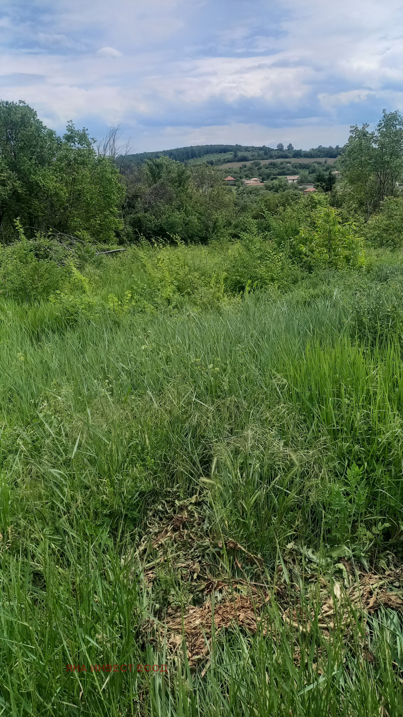 Na prodej  Spiknutí oblast Veliko Tarnovo , Novo gradište , 1600 m2 | 48953833
