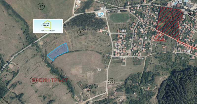 Продава ПАРЦЕЛ, гр. Сапарева баня, област Кюстендил, снимка 2 - Парцели - 53030662