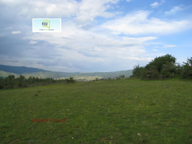 Продава ПАРЦЕЛ, гр. Сапарева баня, област Кюстендил, снимка 3 - Парцели - 53030662