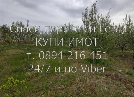 De vânzare  Teren regiunea Plovdiv , Dolnoslav , 6 dka | 71941986