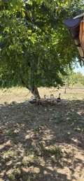 Продава КЪЩА, гр. Криводол, област Враца, снимка 3