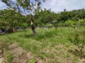 Продава КЪЩА, област Варна, гр. Игнатиево • 85000 € • 62627041 — Holmes.bg