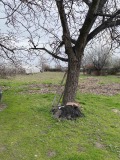 Продава ПАРЦЕЛ, област Пловдив, с. Крумово • 76500 € • 81835648 — Holmes.bg