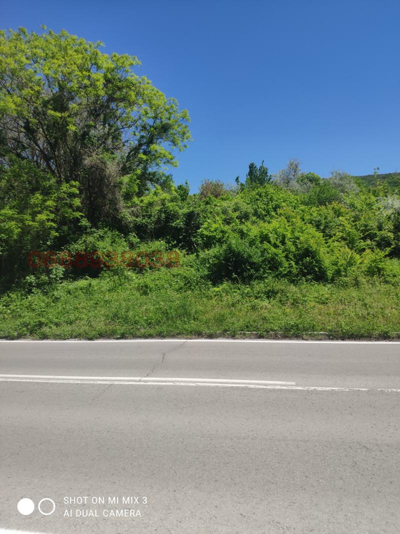 Продава ПАРЦЕЛ, с. Оброчище, област Добрич, снимка 3 - Парцели - 52786064