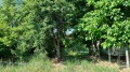 Продава ПАРЦЕЛ, област София, гр. Самоков • 129500 € • 52915095 — Holmes.bg