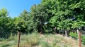 Продава ПАРЦЕЛ, област София, гр. Самоков • 129500 € • 52915095 — Holmes.bg
