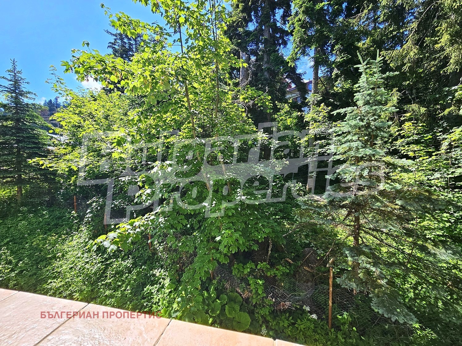 ������� 1-����� | Imot.bg � ����������� 7