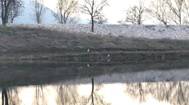 Till salu  Komplott region Plovdiv , Muldava , 4600 kvm | 92996522