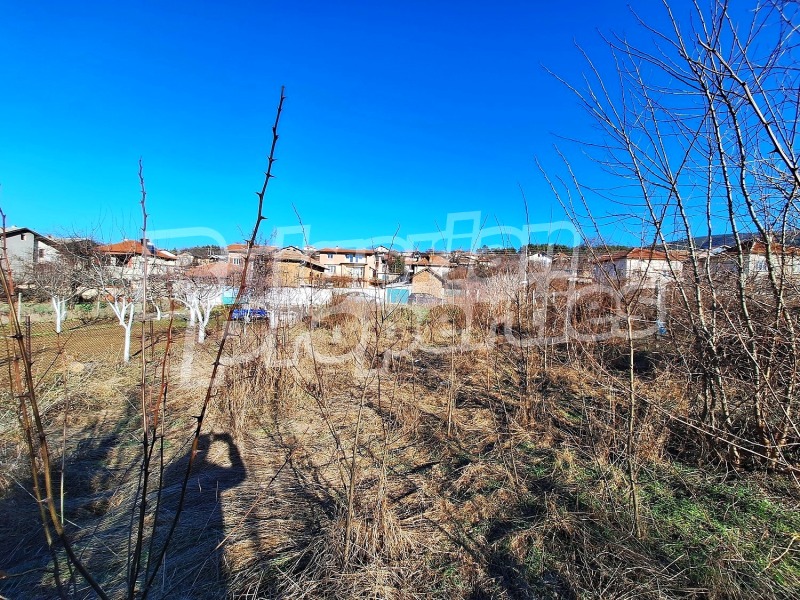 Продава ПАРЦЕЛ, с. Сапарево, област Кюстендил, снимка 3 - Парцели - 53185028