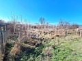 Продава ПАРЦЕЛ, с. Сапарево, област Кюстендил, снимка 6