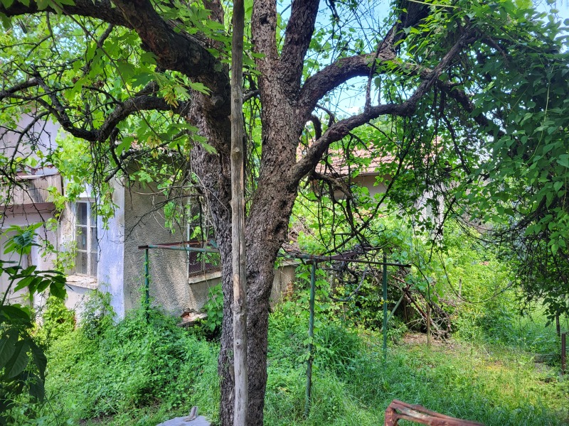 Προς πώληση  Οικόπεδο Σοφηια , Βανκια , 680 τ.μ | 67183788 - εικόνα [4]