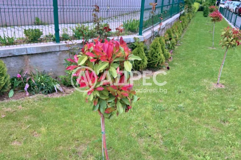 Eladó  1 hálószoba Sofia , Malinova dolina , 60 négyzetméter | 32252969 - kép [7]