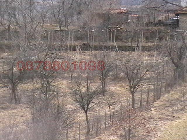 Продава ПАРЦЕЛ, с. Косарка, област Габрово, снимка 6 - Парцели - 53263337