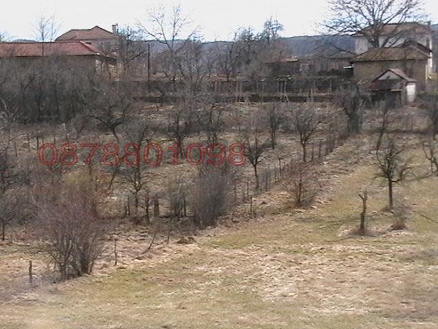 Продава ПАРЦЕЛ, с. Косарка, област Габрово, снимка 8 - Парцели - 53263337