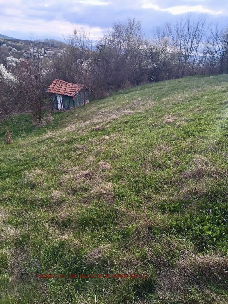 Eladó  Cselekmény régió Pernik , Bogdanov dol , 823 négyzetméter | 74511510 - kép [4]