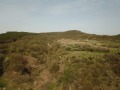 Продава ЗЕМЕДЕЛСКА ЗЕМЯ, с. Аспарухово, област Варна, снимка 2
