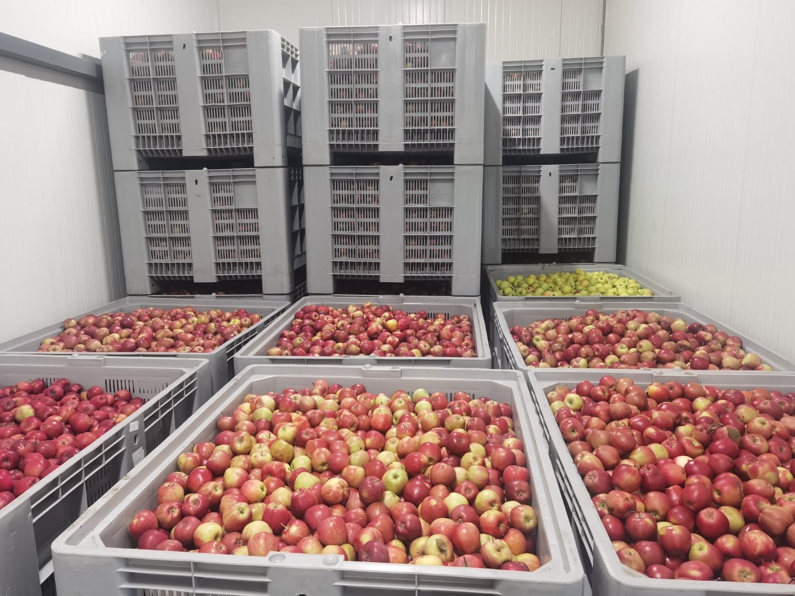 Продава ПРОМ. ПОМЕЩЕНИЕ | Imot.bg — изображение 12