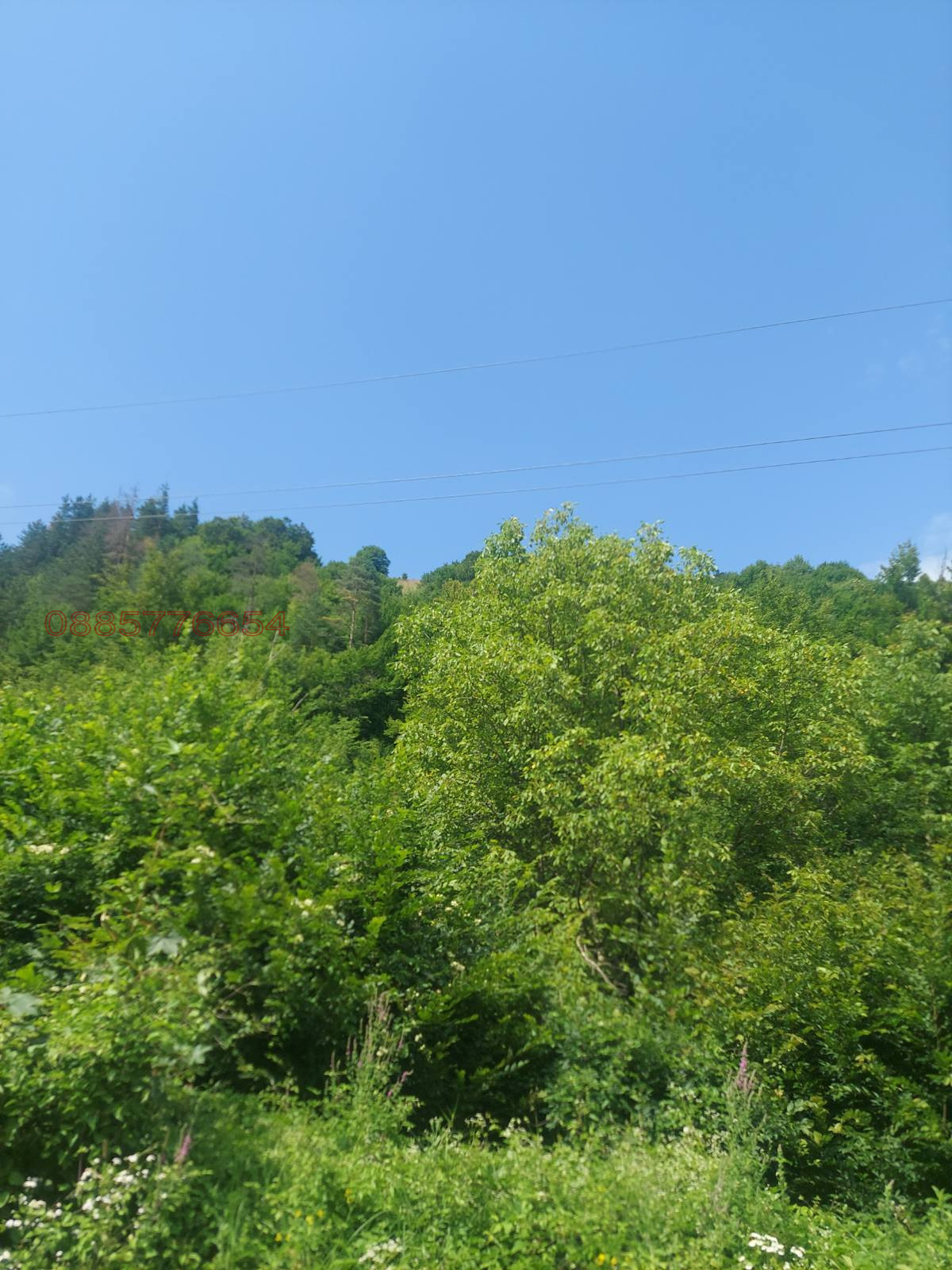 ������� ������ | Imot.bg � ����������� 7