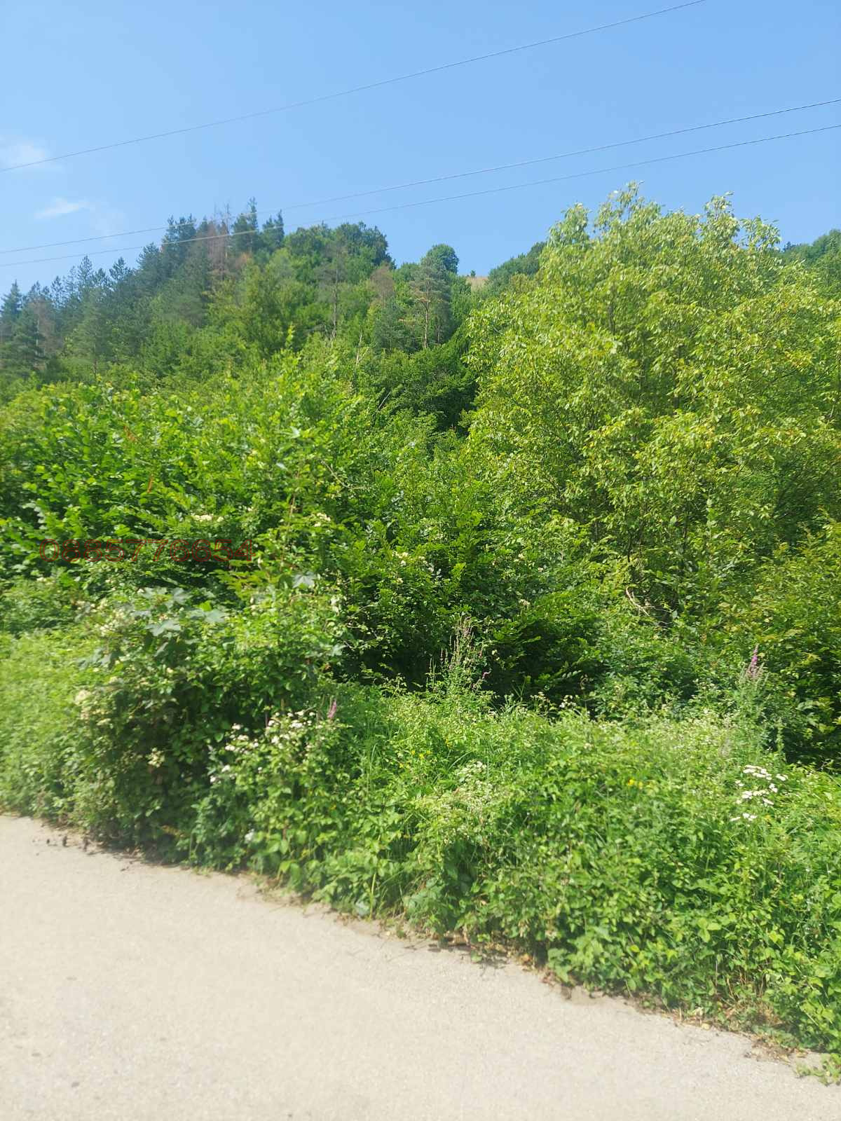 ������� ������ | Imot.bg � ����������� 6