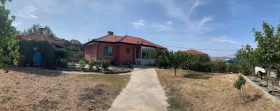 Hus Kosjaritsa, region Burgas 2