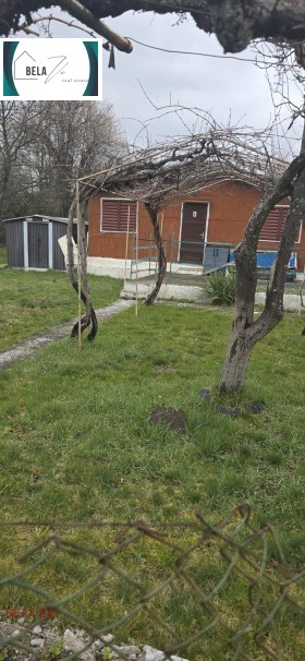 ������ ������� ������