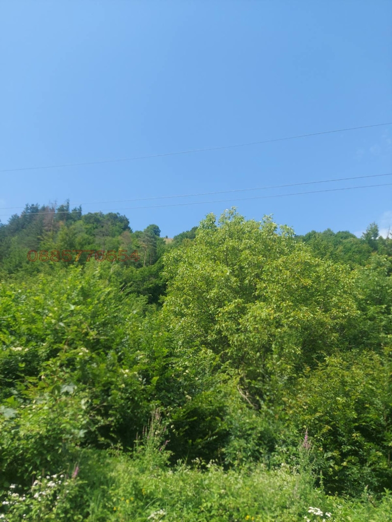 Продава ПАРЦЕЛ, с. Черни Осъм, област Ловеч, снимка 7 - Парцели - 52775200