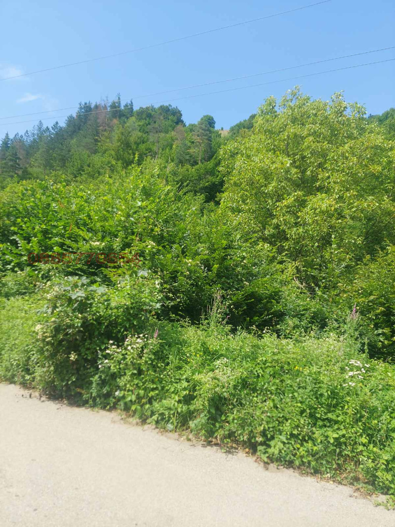 Продава ПАРЦЕЛ, с. Черни Осъм, област Ловеч, снимка 6 - Парцели - 52775200