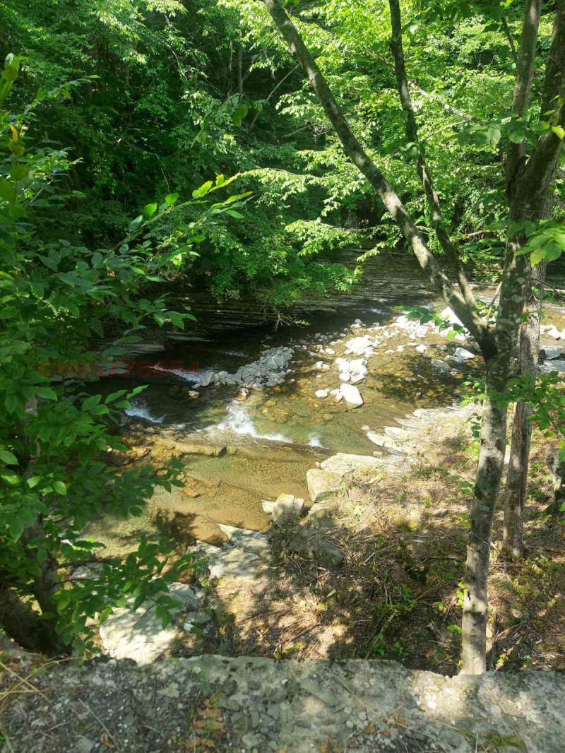 Продава ПАРЦЕЛ, с. Черни Осъм, област Ловеч, снимка 2 - Парцели - 52775200