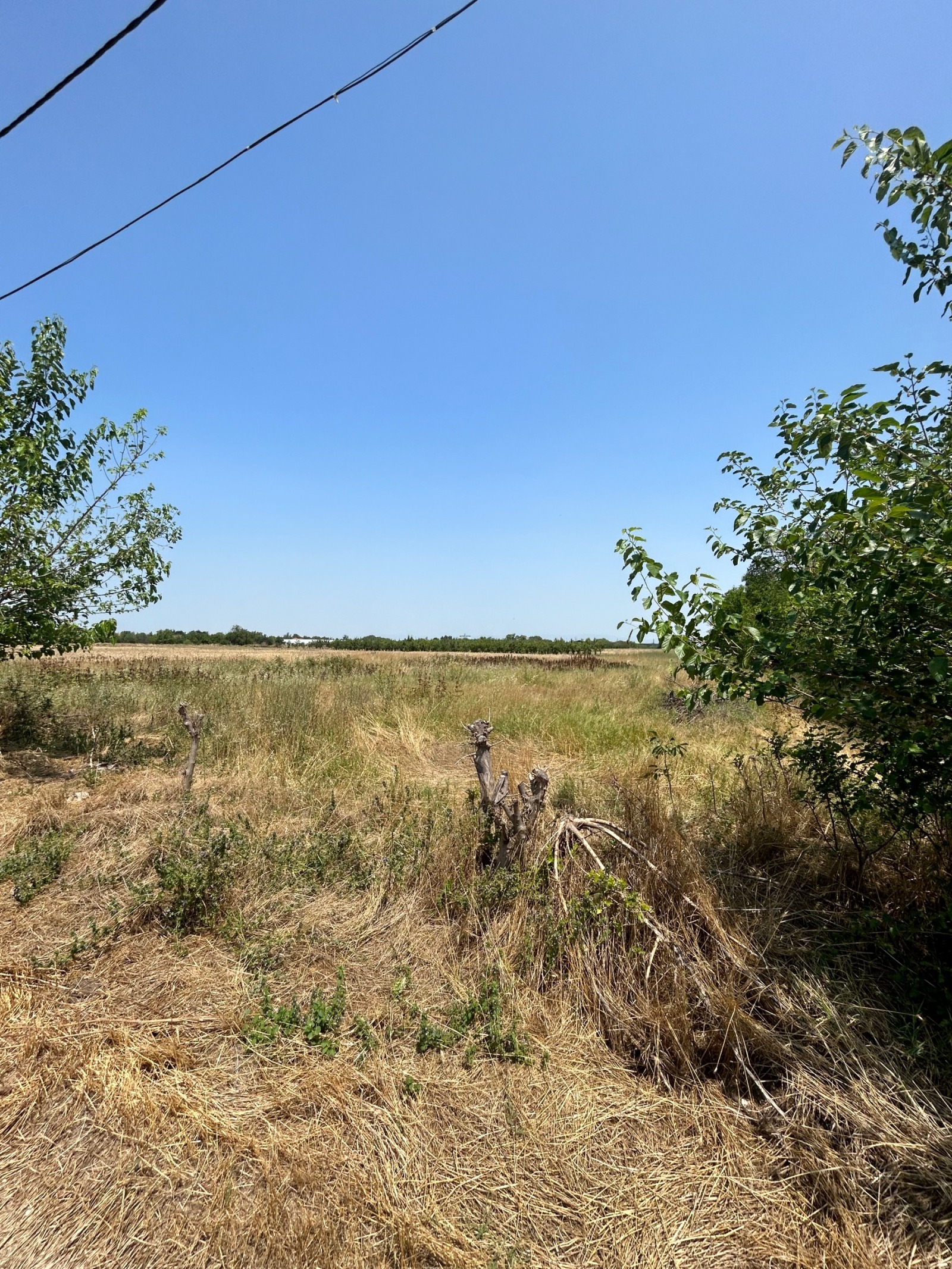 Продава ПАРЦЕЛ, с. Цалапица, област Пловдив, снимка 4 - Парцели - 54950496