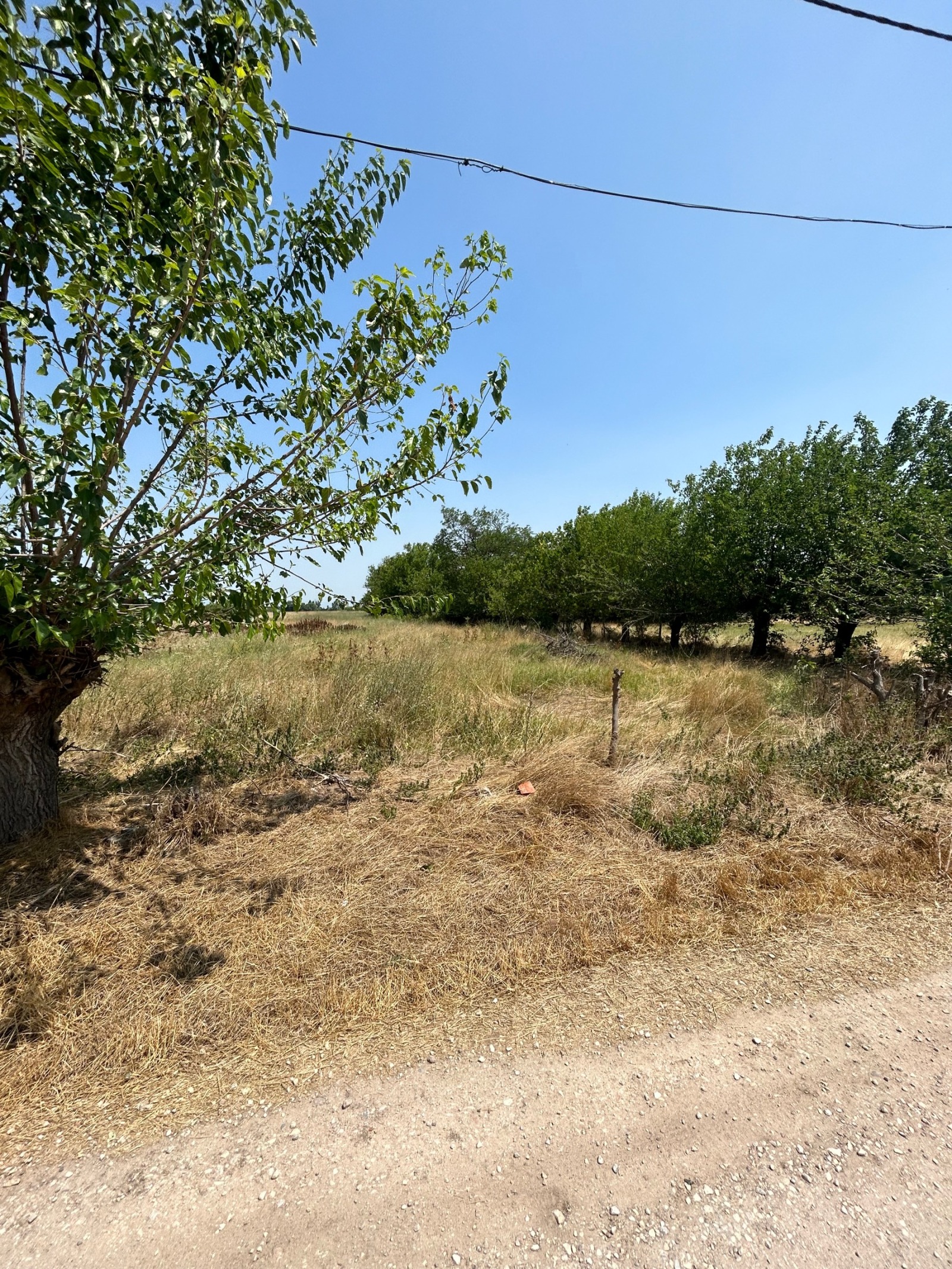 Продава ПАРЦЕЛ, с. Цалапица, област Пловдив, снимка 3 - Парцели - 54950496