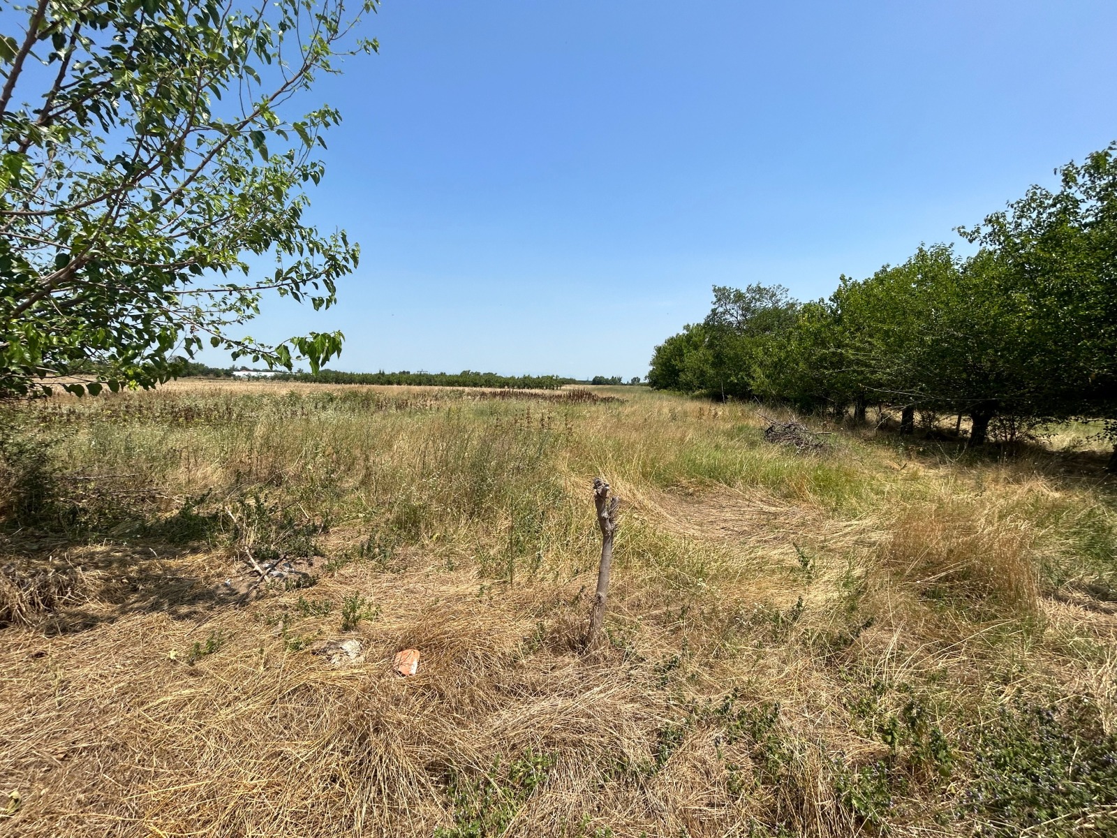 Продава ПАРЦЕЛ, с. Цалапица, област Пловдив, снимка 2 - Парцели - 54950496
