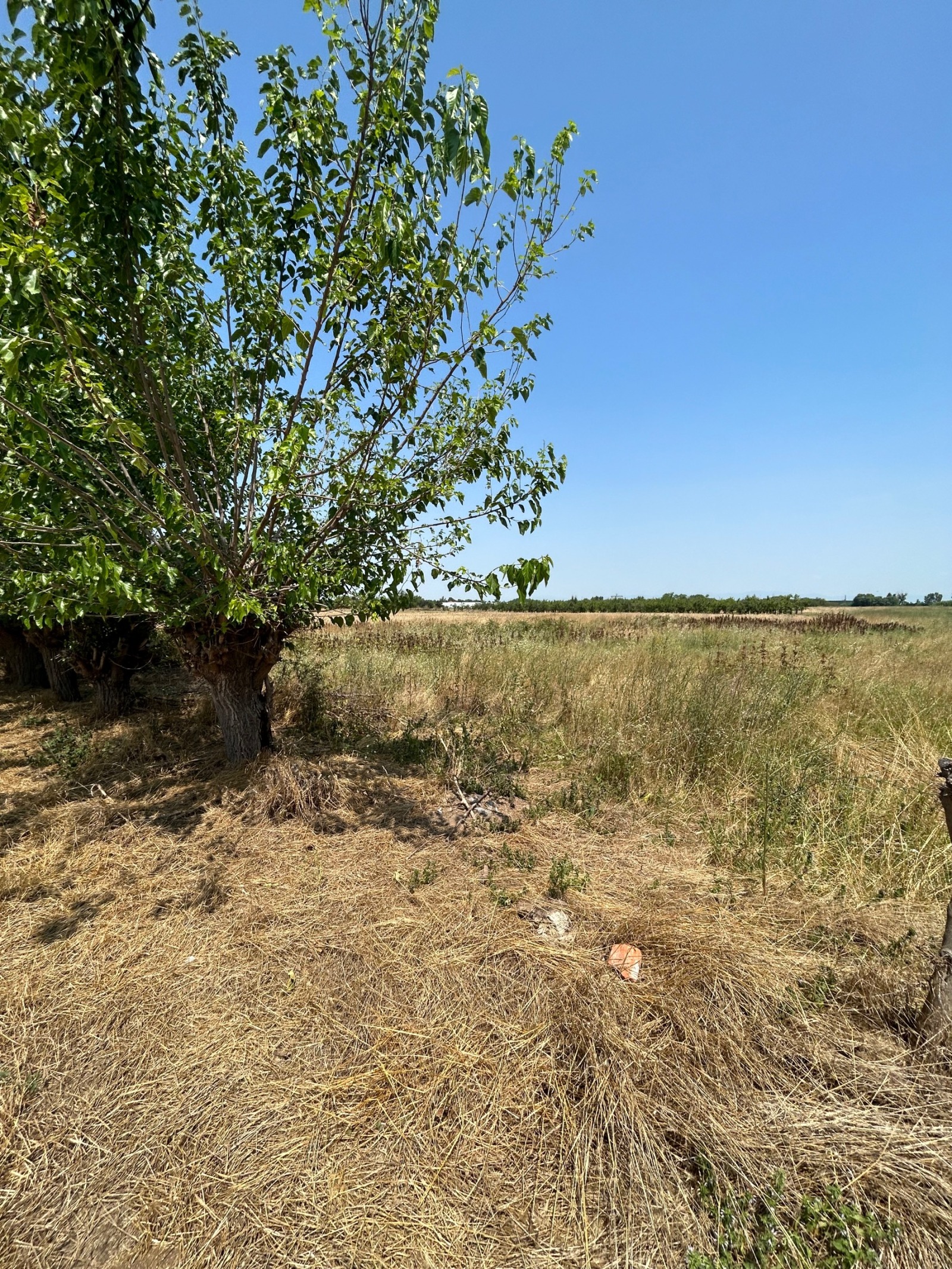 Продава ПАРЦЕЛ, с. Цалапица, област Пловдив, снимка 6 - Парцели - 54950496