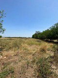 Продава ПАРЦЕЛ, с. Цалапица, област Пловдив, снимка 5