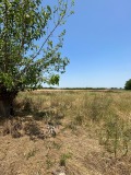 Продава ПАРЦЕЛ, с. Цалапица, област Пловдив, снимка 1
