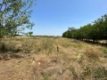 Продава ПАРЦЕЛ, с. Цалапица, област Пловдив, снимка 2