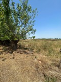 Продава ПАРЦЕЛ, с. Цалапица, област Пловдив, снимка 6