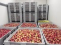 Продава ПРОМ. ПОМЕЩЕНИЕ, град Кюстендил, Промишлена зона - Север • 2000000 лв. • 58943545 — Holmes.bg