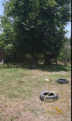 ����� ������� ����,�. ��������, ������ ����� ������