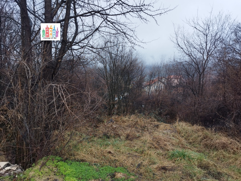 Продава ПАРЦЕЛ, с. Рударци, област Перник, снимка 10 - Парцели - 53286059