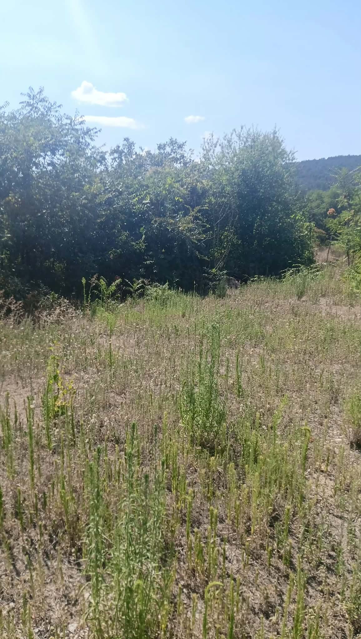 Продава ПАРЦЕЛ, гр. Стара Загора, м-т Беш Бунар, снимка 3 - Парцели - 55639077