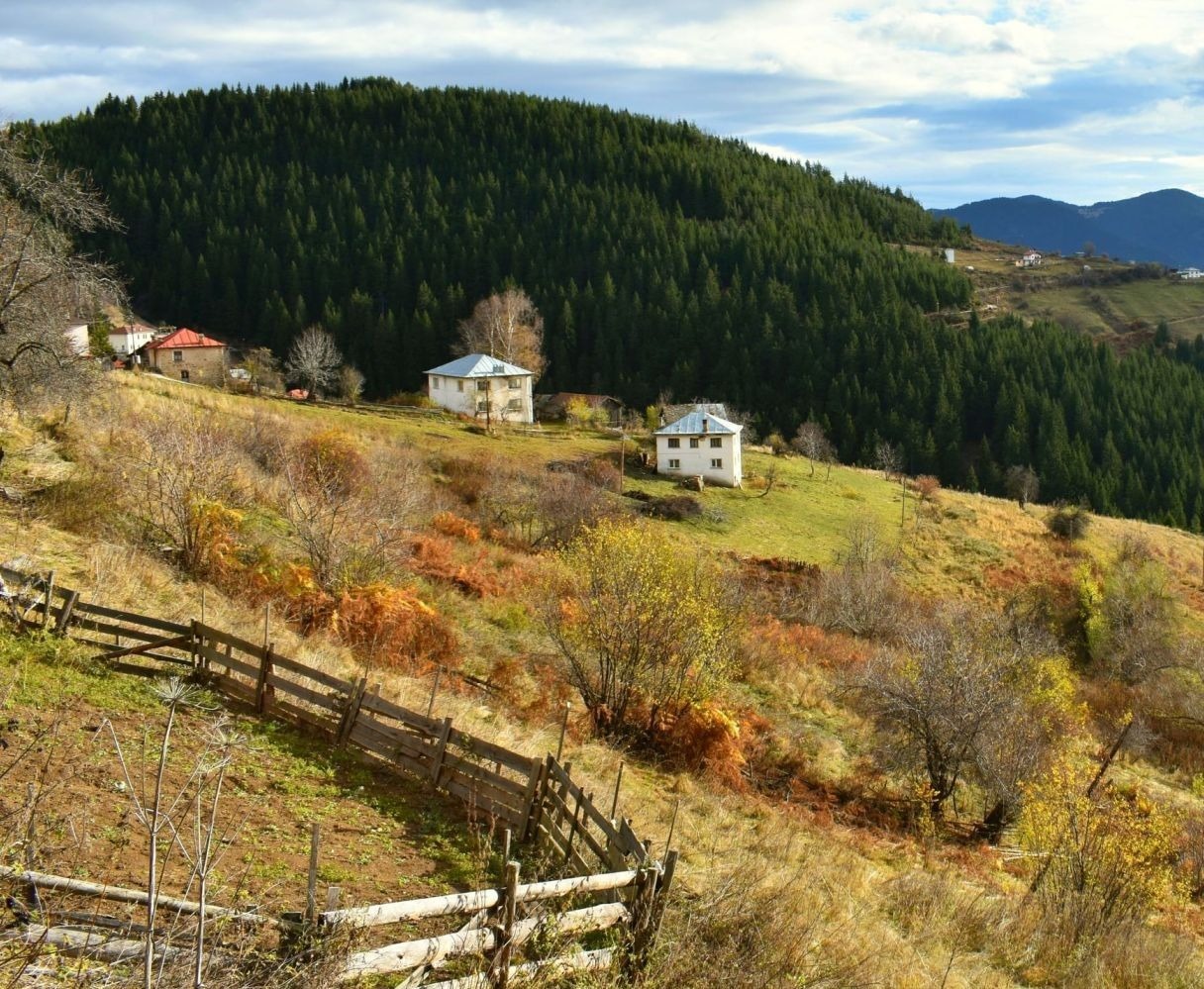 ������� ������ | Imot.bg � ����������� 2