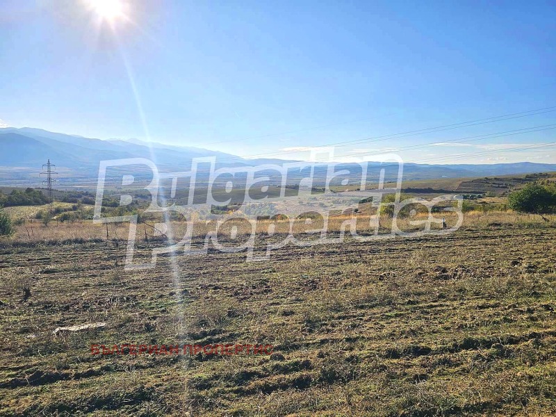 Продава ПАРЦЕЛ, с. Горна Василица, област София област, снимка 3 - Парцели - 52156652