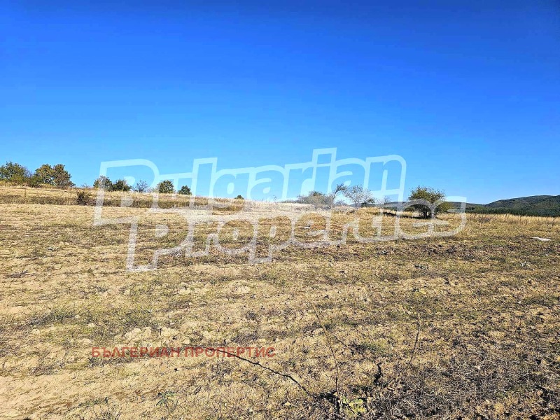 Продава ПАРЦЕЛ, с. Горна Василица, област София област, снимка 11 - Парцели - 52156652