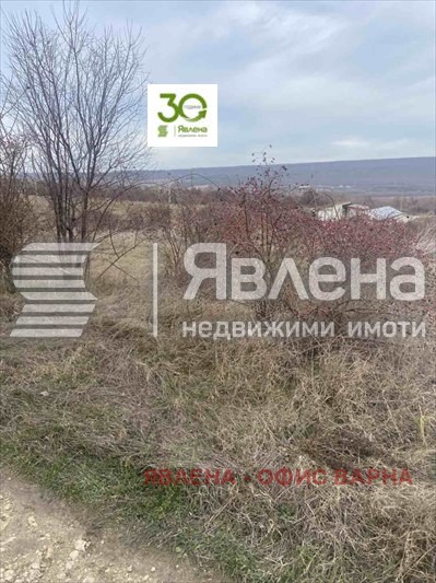 Продава ПАРЦЕЛ, с. Рогачево, област Добрич, снимка 3 - Парцели - 53587610