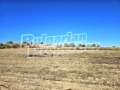 Продава ПАРЦЕЛ, с. Горна Василица, област София област, снимка 10