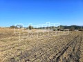 Продава ПАРЦЕЛ, с. Горна Василица, област София област, снимка 9