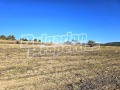 Продава ПАРЦЕЛ, с. Горна Василица, област София област, снимка 11